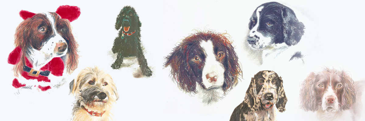 Dog Portraits by Tony